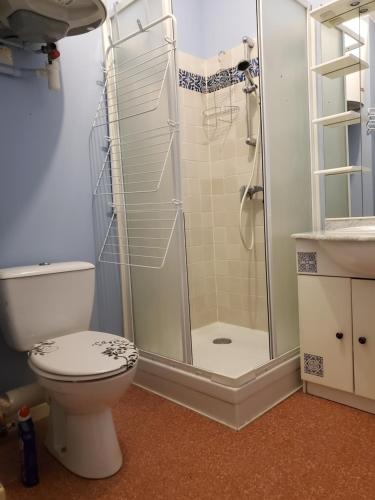 une salle de bains avec douche et toilettes dans l'établissement Studio cosy classé 3 étoiles dans cœur historique, à Arreau