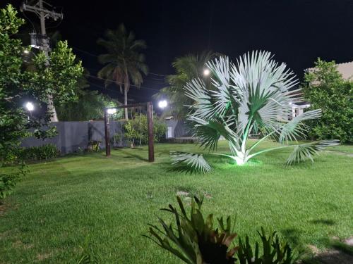 a palm tree in a yard at night at Suite para familia! in Saquarema