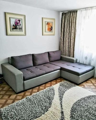 - un salon avec un canapé et un tapis dans l'établissement Casa Eva și Ioan, à Corbu