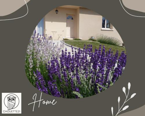 Chambre d'hôtes proximité Circuit Prenois