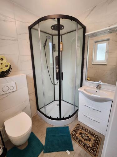 ein Bad mit einer Dusche, einem WC und einem Waschbecken in der Unterkunft Haus Yuphin in Hart bei Graz