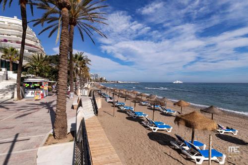 Suite Patio Andaluz - Jardines 434