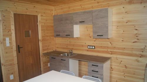 a kitchen with a sink and a wooden wall at Modrzewie in Międzylesie