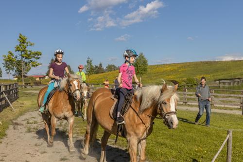 eine Gruppe von Menschen, die auf einem Feld reiten in der Unterkunft Mösslacher's Ferienwohnungen in Hermagor