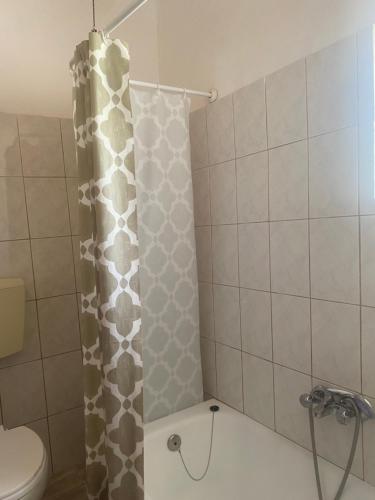 a bathroom with a shower curtain and a toilet at ARTAKi R APARTMENTS in Koroni