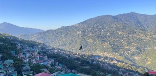 Un uccello che vola sopra una città di fronte a una montagna di Teesta Inn a Gangtok