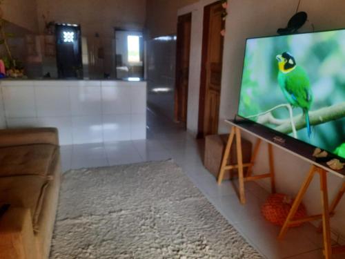 TV a/nebo společenská místnost v ubytování Hostel Renascer nos Lençóis