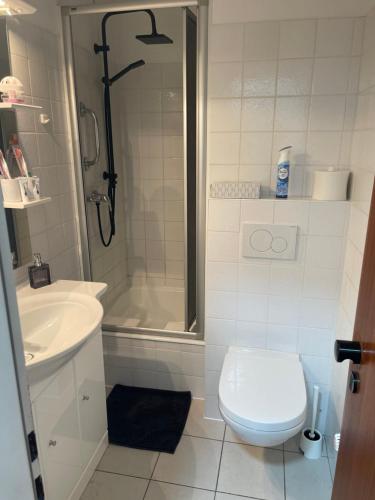 een badkamer met een douche, een toilet en een wastafel bij 1 Zimmer Appartement in Bad Rothenfelde in Bad Rothenfelde