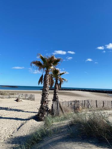 two palm trees on a sandy beach near the ocean at APPART - T3 - 6 PERSONNES – GOLF CAP D’AGDE in Cap d'Agde