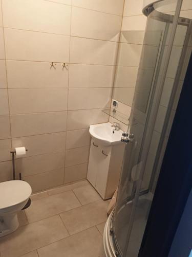a bathroom with a toilet and a sink and a shower at Dom Marek in Wisełka