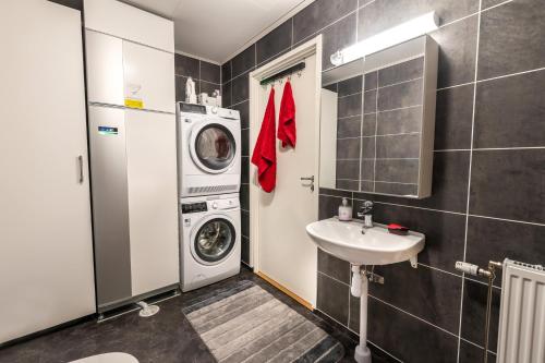 a bathroom with a washing machine and a sink at Riekko Mökki in Kilpisjärvi