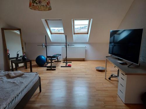 TV a/nebo společenská místnost v ubytování Apartmán Dvořák 194 pod Svatou horou