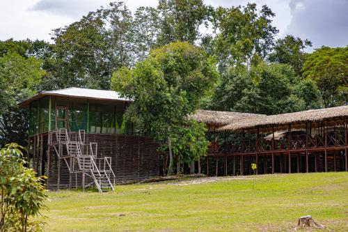 a building with a straw roof and a tree at Manati Lodge in Manacapuru