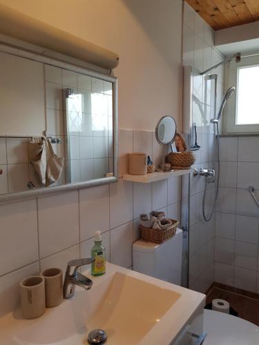 a bathroom with a sink and a shower and a mirror at Ferienwohnung 'dasBRENNERs' in Groß-Umstadt