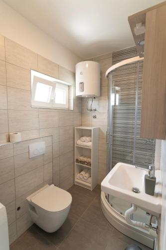 a bathroom with a toilet and a sink at Pave&Ema apartman in Konjevrate