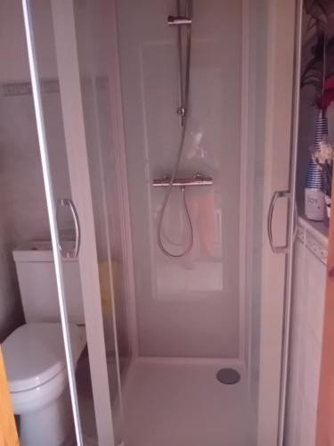 Chambre spacieuse dans joli village alsacien في تشاتينوا: حمام مع دش ومرحاض