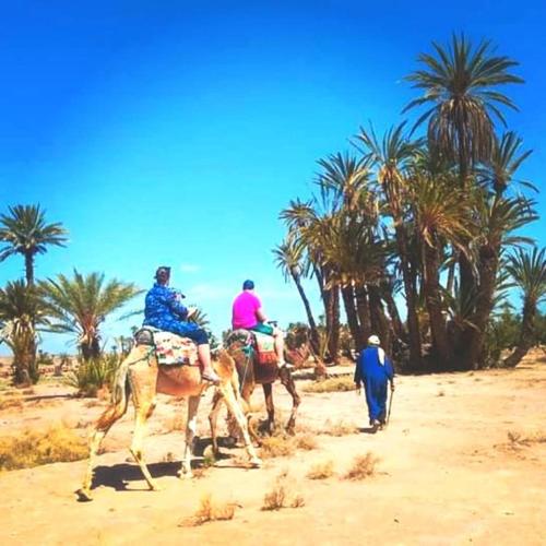 - un groupe de personnes à cheval sur la plage dans l'établissement Marhaban, à Ouarzazate