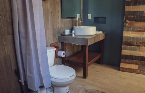 a bathroom with a toilet and a sink at Casa Oaxaca in Oaxaca City