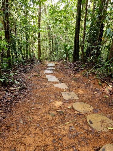 Gallery image of OLP Treehouse Cerro Azul in Cerro Azul