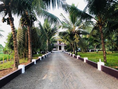 a road lined with palm trees in front of a house at Green Heaven Kumarakom in Kumarakom