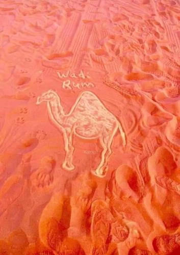a drawing of a camel in the sand at Sultan Luxury Camp in Wadi Rum