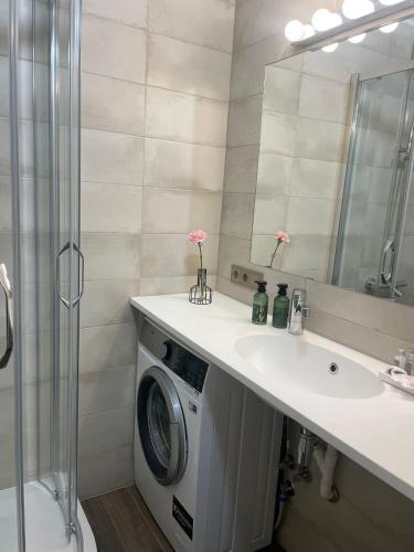 ein Badezimmer mit einer Waschmaschine unter einem Waschbecken in der Unterkunft apartment SPRING in Cēsis