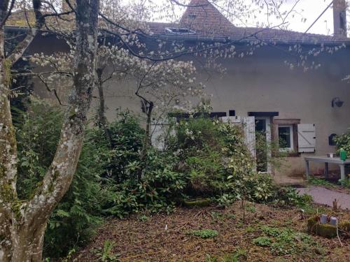 Κήπος έξω από το Gite l'Échapée Belle dans les Vosges