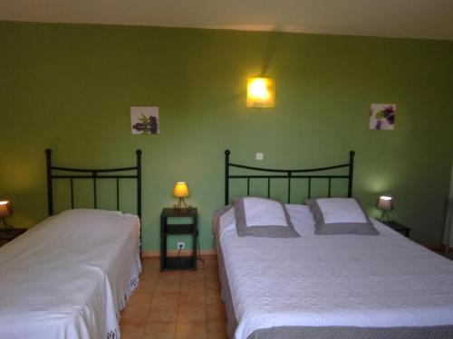deux lits dans une chambre aux murs verts dans l'établissement Location gîte Olive en Provence, à Vaison-la-Romaine
