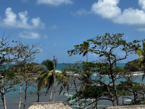 a view of a beach with palm trees and the ocean at Ciel y Miel in Colón