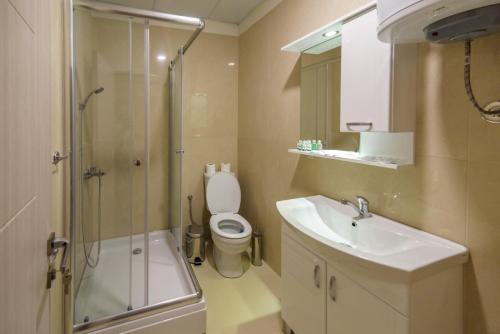 uma casa de banho com um chuveiro, um WC e um lavatório. em Noble House em Kriva Palanka