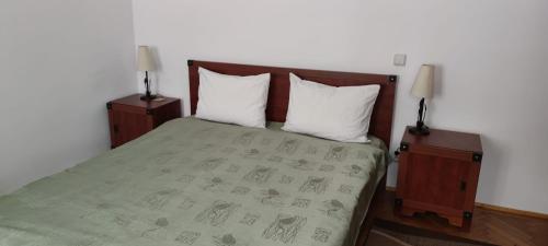 a bedroom with a bed with two night stands and two lamps at Garsoniera Central Sibiu in Sibiu