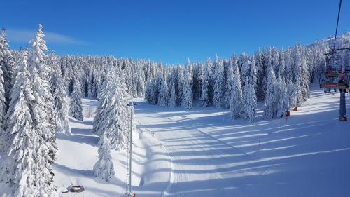 a ski slope with snow covered trees and a ski lift at Marrilux apartments Residence Hill in Kopaonik