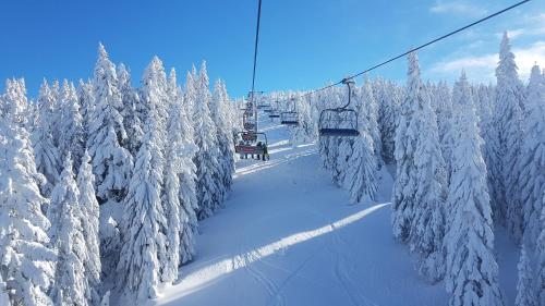 a ski lift going through a snow covered forest at Marrilux apartments Residence Hill in Kopaonik