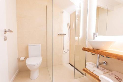 La salle de bains est pourvue de toilettes, d'un lavabo et d'une douche. dans l'établissement Alojamento Porta14.4, à Chaves