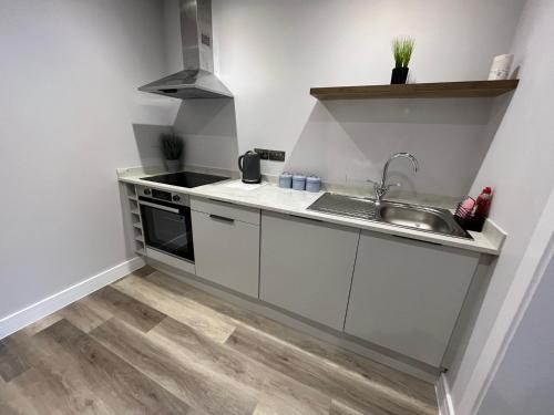 Apartment 2 Castle Lane في بورنموث: مطبخ صغير مع حوض وموقد