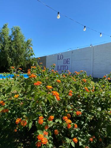 una planta con flores naranjas frente a un edificio en Lo de Lito en Sierra de la Ventana