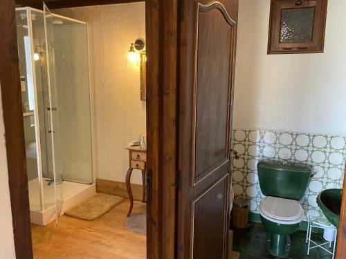 een badkamer met een groen toilet en een douche bij Las Vignes - Wo die Ruhe die Seele befriedet in Cazes-Mondenard