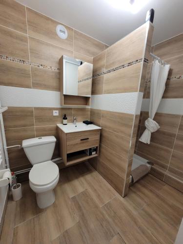 a bathroom with a toilet and a sink and a shower at L' Écrin de Jade in Melun