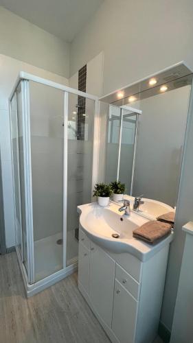 une salle de bain avec un lavabo blanc et une douche dans l'établissement Appartement de charme, à Bayeux