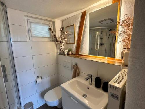 a bathroom with a sink and a toilet and a mirror at Pfälzer Hexenhäuschen in Edesheim in Edesheim