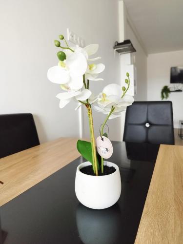 Χώρος καθιστικού στο Parisian Cosy flat with Balcony