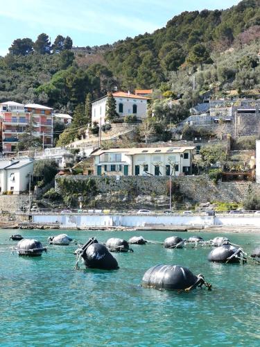 a group of elephants swimming in the water at B&B La Palafitta in Portovenere