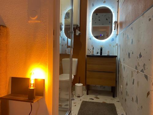une salle de bain avec toilettes, lavabo et miroir dans l'établissement Le Confetti !, à Sète