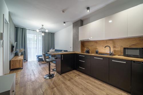 uma cozinha com um lavatório e uma bancada em Apartament16 Źródlana MountainAparts em Świeradów-Zdrój