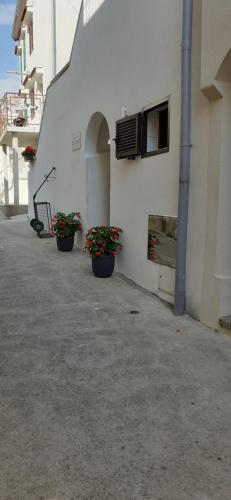 Το κτήριο όπου στεγάζεται  το διαμέρισμα