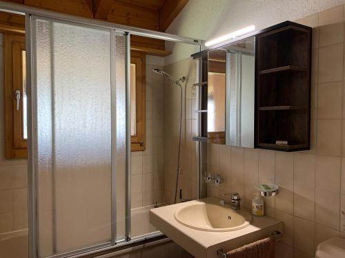 a bathroom with a shower and a sink and a mirror at Grindelwald-Sunneblick in Grindelwald