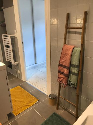 une salle de bain avec une douche et un porte-serviettes dans l'établissement Casa Salies, maisonnette cosy et confortable au centre de Salies, à Salies-de-Béarn