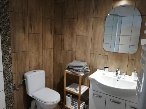 a bathroom with a toilet and a sink and a mirror at Agroturystyka Szklana Polana in Huta Szklana