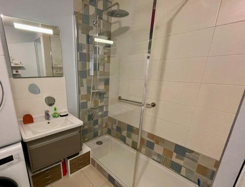 een badkamer met een douche en een wastafel bij Appartement cosy centre de Wimereux proche plage in Wimereux