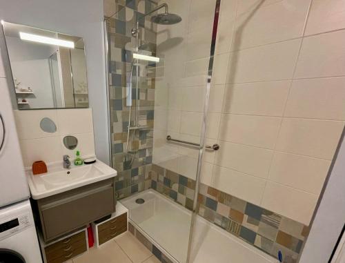 une salle de bain avec douche et lavabo dans l'établissement Appartement cosy centre de Wimereux proche plage, à Wimereux